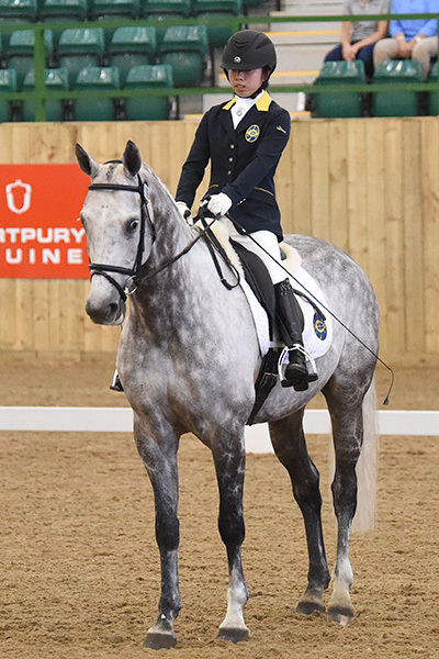 Jockey-Club-Cethegus-M