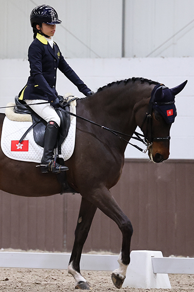 horse-Jockey-Club-Angel