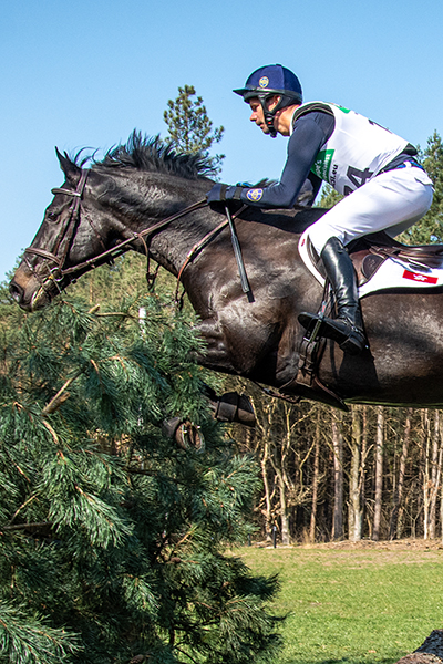 horse-Jockey-Club-Global-Theodoros