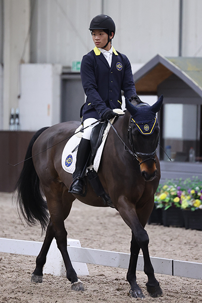 horse-Jockey-Club-SaragoRaphael