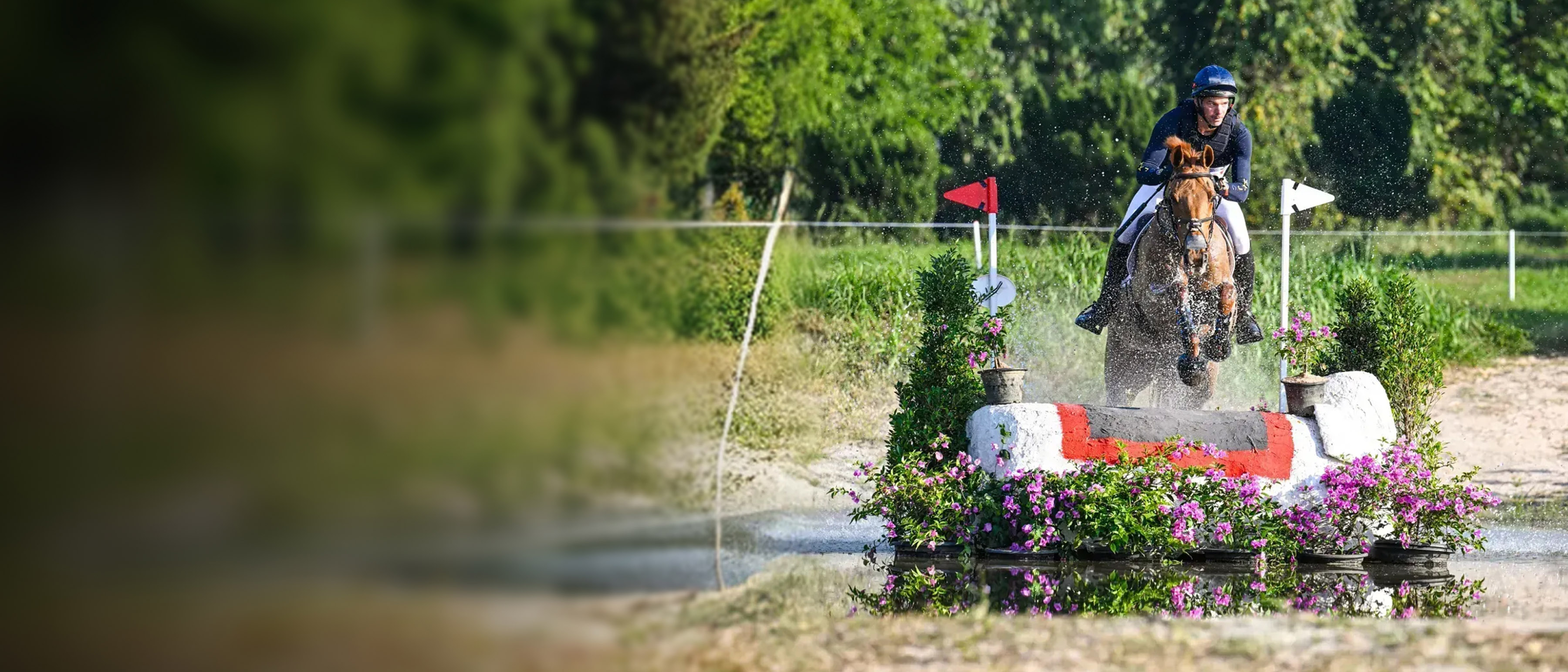 JC Equestrian Development