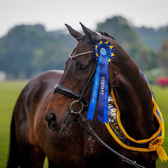 RESTART Racehorse Aftercare Programme