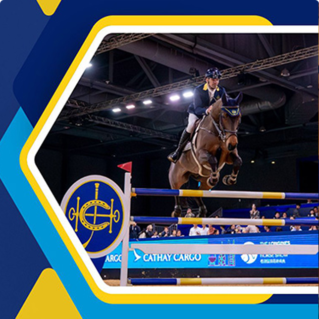 Equestrian Videos