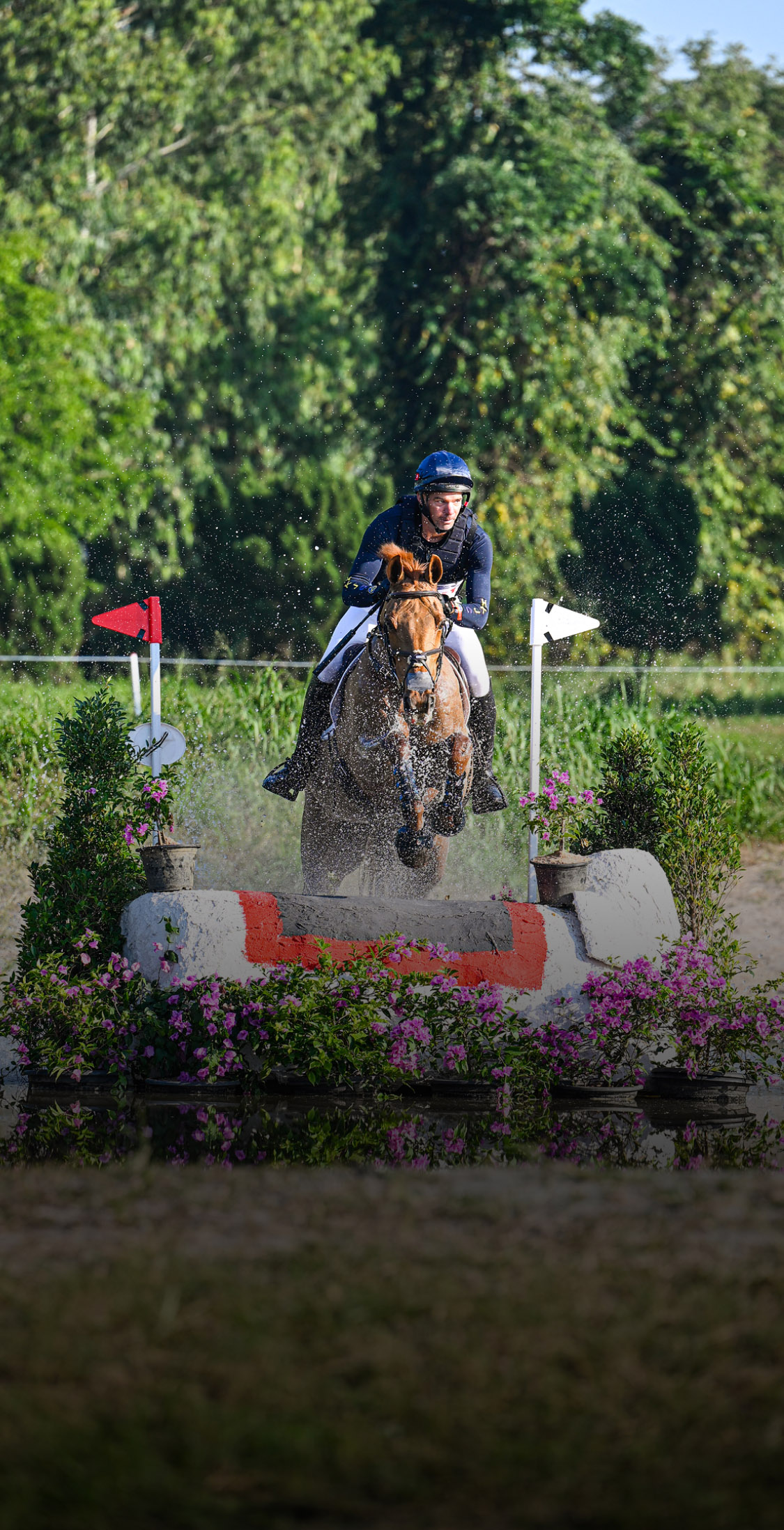 JC Equestrian Development