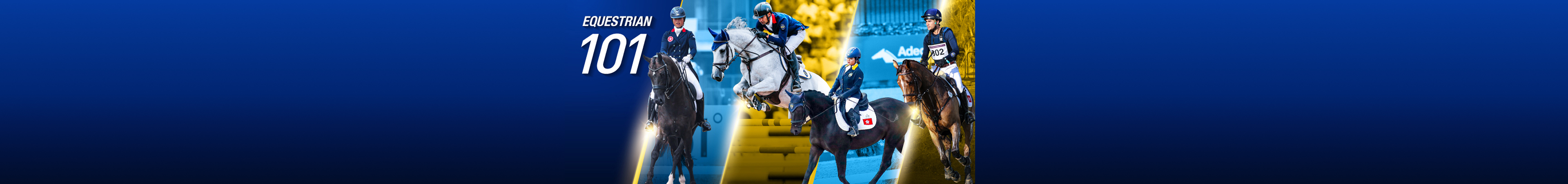 Equestrian 101 Banner