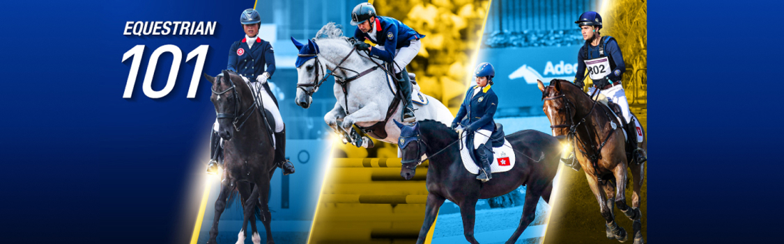 Equestrian 101 Banner