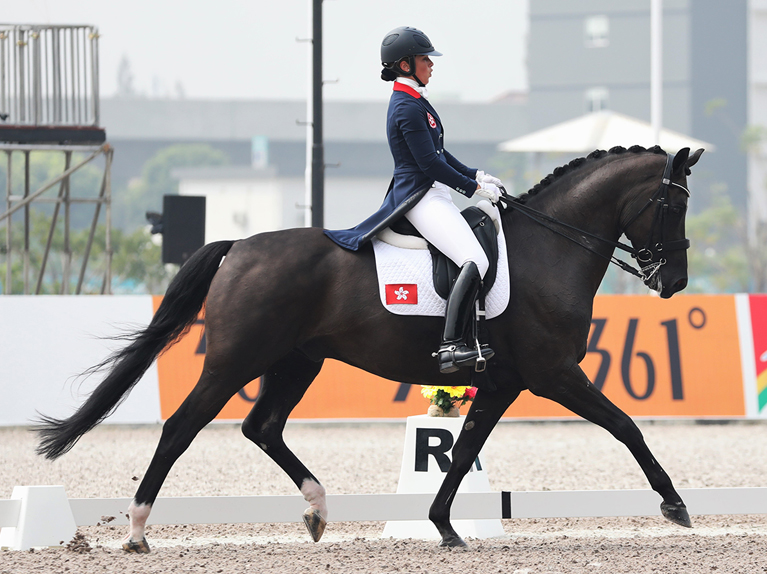 Show Jumping