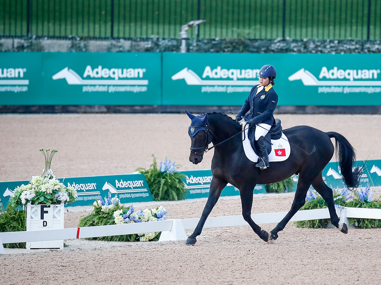 Para dressage