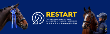Equestrian 101 Banner