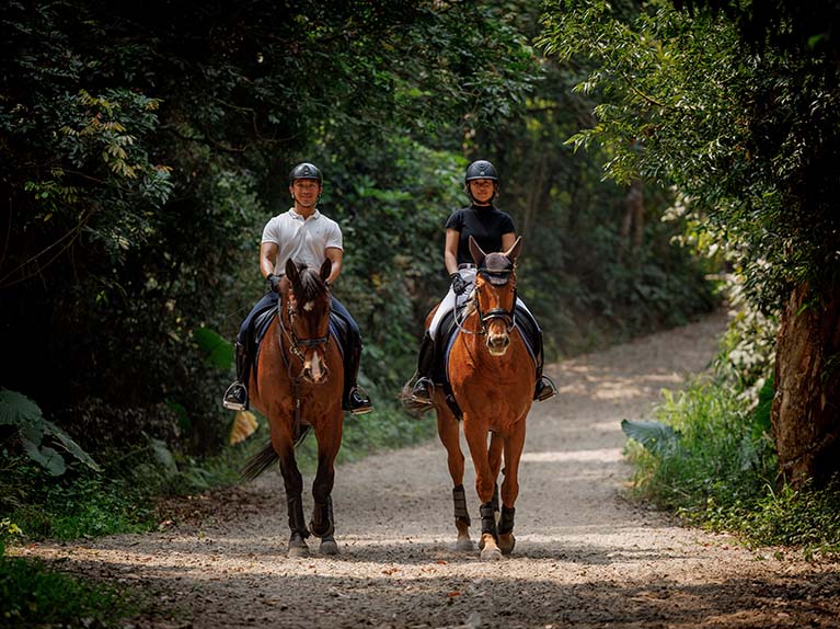 About Our Equine Facilities