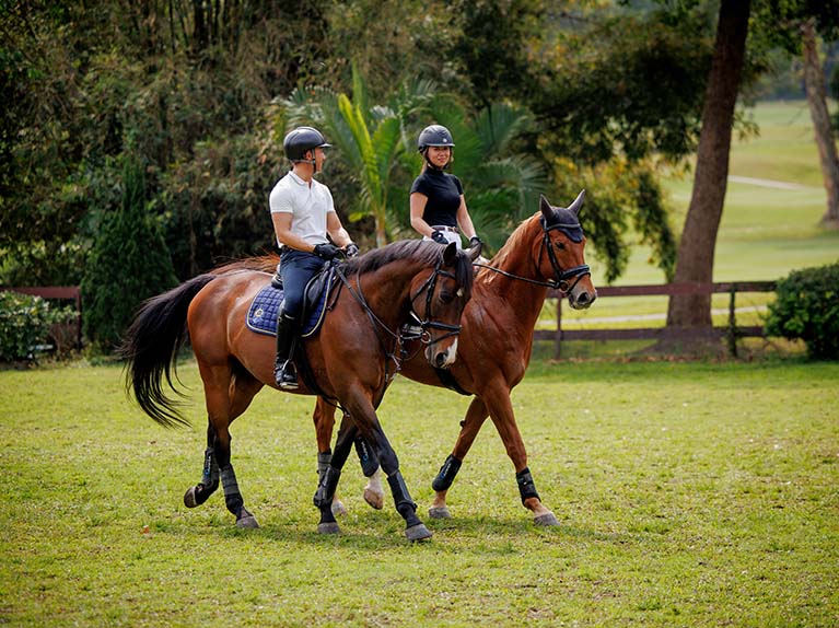 Livery and Retraining Centre