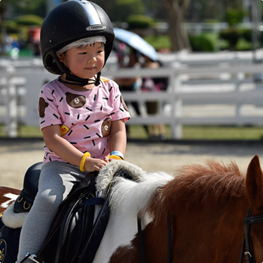 riding-lesson
