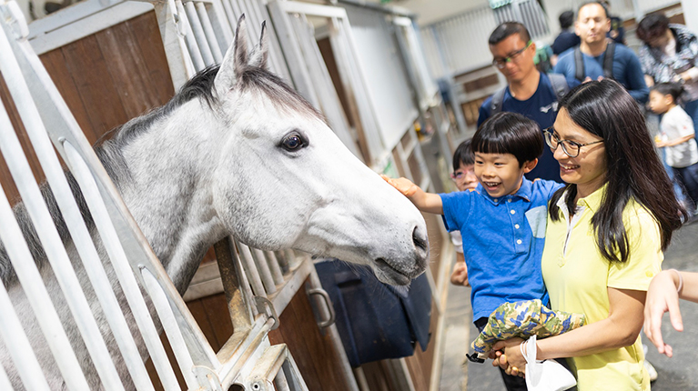 Stable-Visits