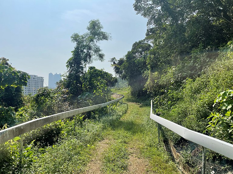 Hacking-Trail