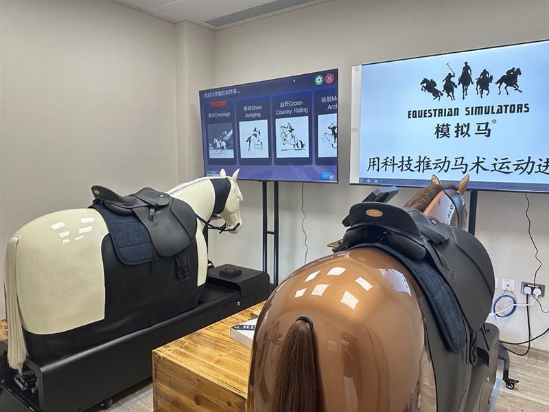 Equine-Simulator-Room