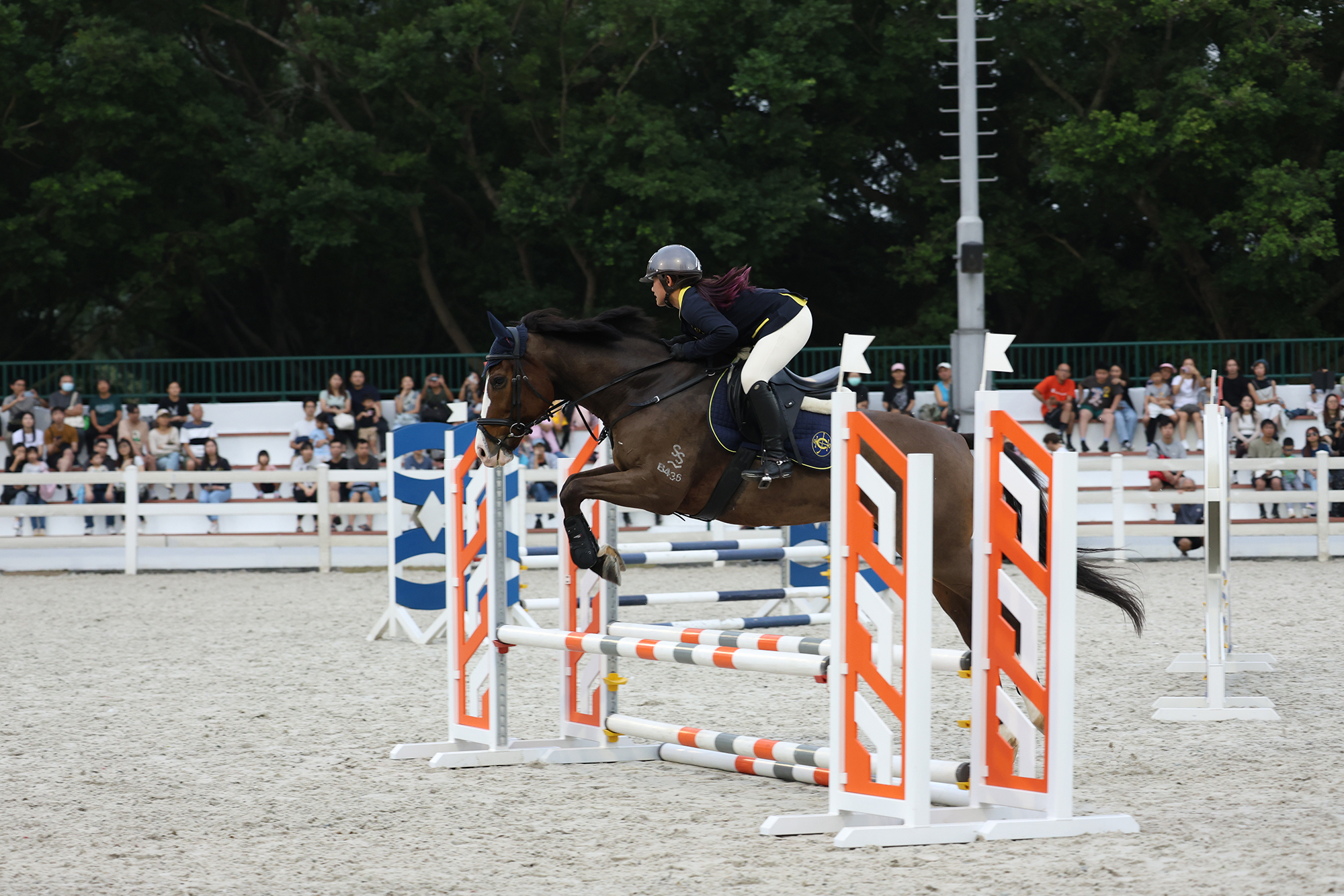 tm-equine-events