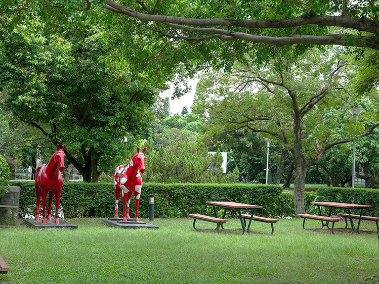 Garden-Area