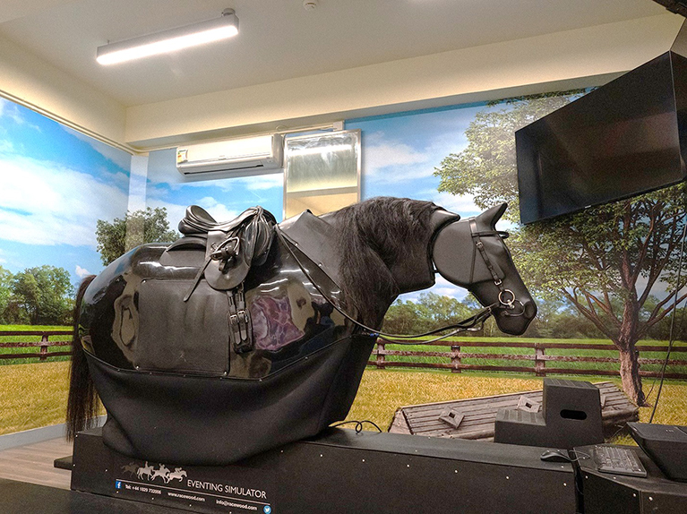 Horse-Simulator