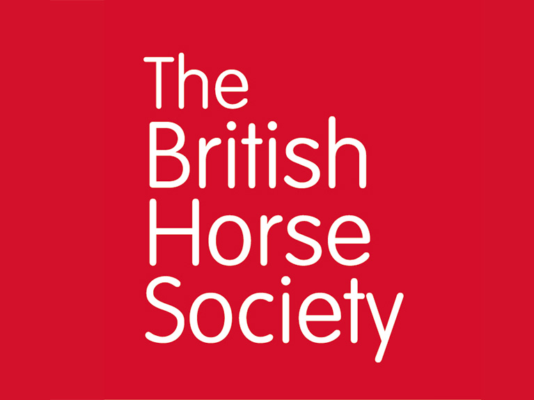 logo_BHS