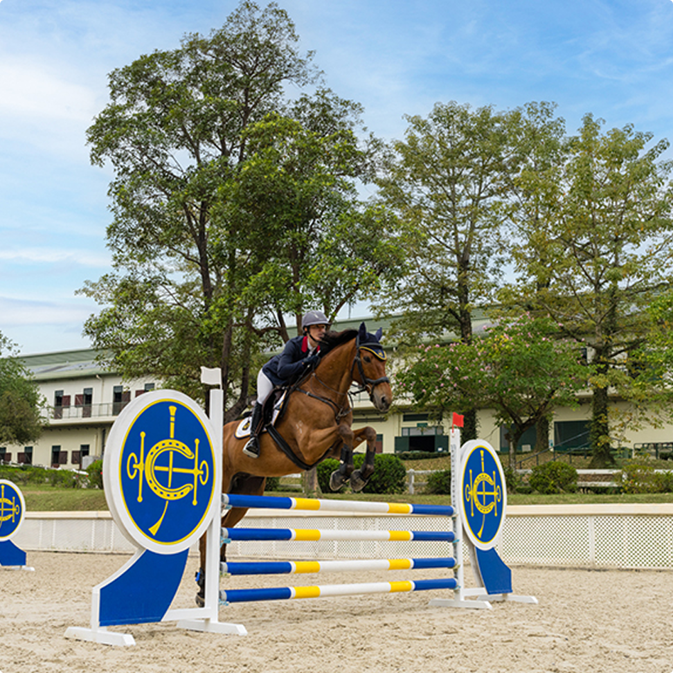 Show Jumping